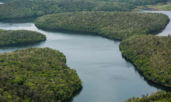 Projeto Recuperação do Rio Manso